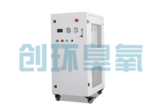 滦县石斑鱼养殖水质调控完整指南:臭氧发生器配置与操作步骤