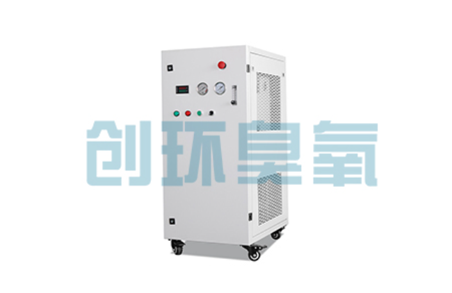 滦县比传统换水更高效?臭氧发生器在石斑鱼养殖中的水质净化原理解析