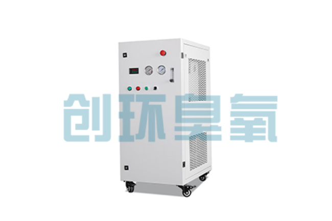 滦县比传统换水更高效？臭氧发生器在石斑鱼养殖中的水质净化原理解析